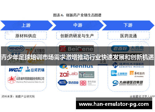 青少年足球培训市场需求激增推动行业快速发展和创新机遇 青少年足球培训市场需求激增推动行业快速发展和创新机遇