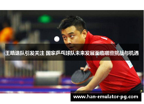 王皓退队引发关注 国家乒乓球队未来发展面临哪些挑战与机遇