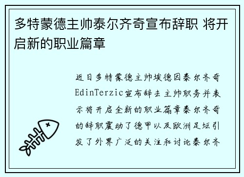 多特蒙德主帅泰尔齐奇宣布辞职 将开启新的职业篇章