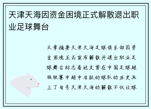 天津天海因资金困境正式解散退出职业足球舞台